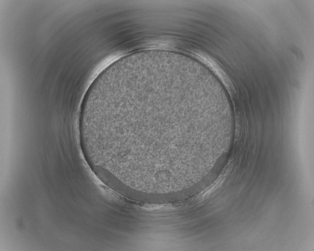 X0000116001434200912170941