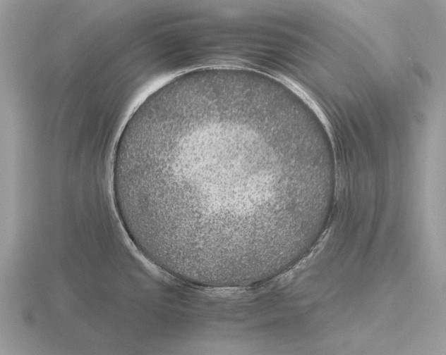 X0000116001437200912170941