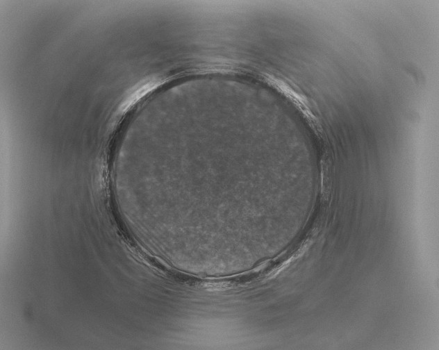 X0000116001453200912170940