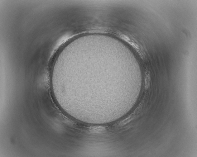 X0000116001454200912170940