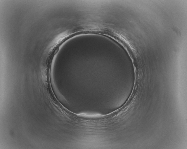 X0000116001455200912170940