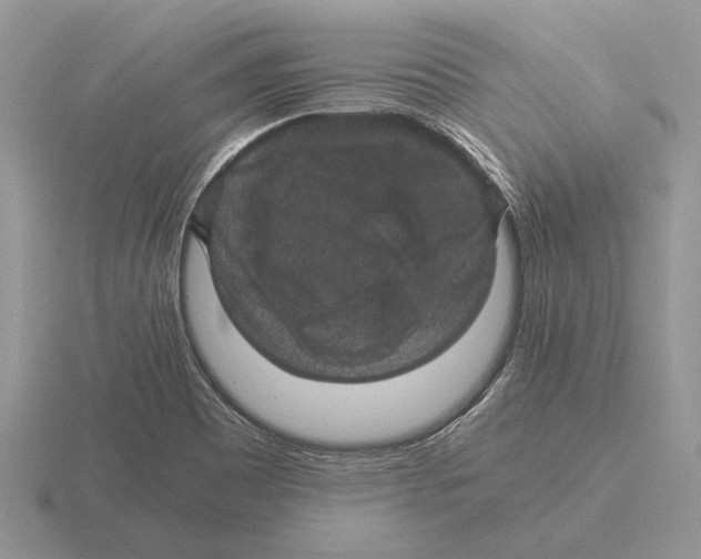 X0000116001465200912170940