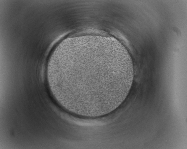 X0000116000012200912312123