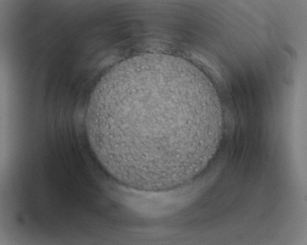 X0000116000034200912312123