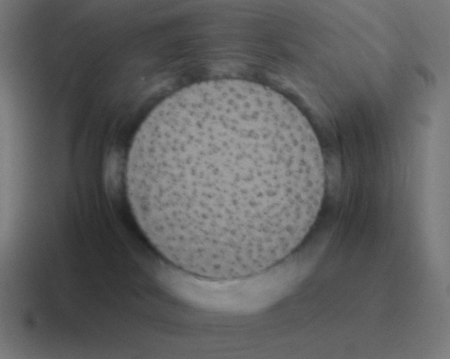 X0000116000038200912312123
