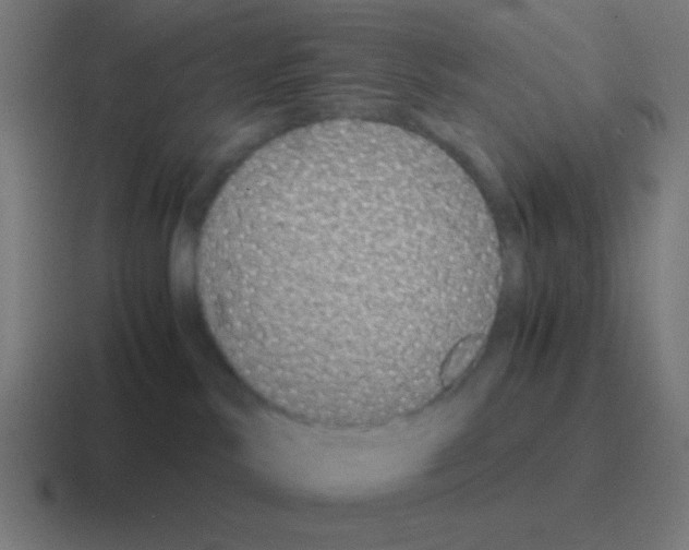 X0000116000042200912312122