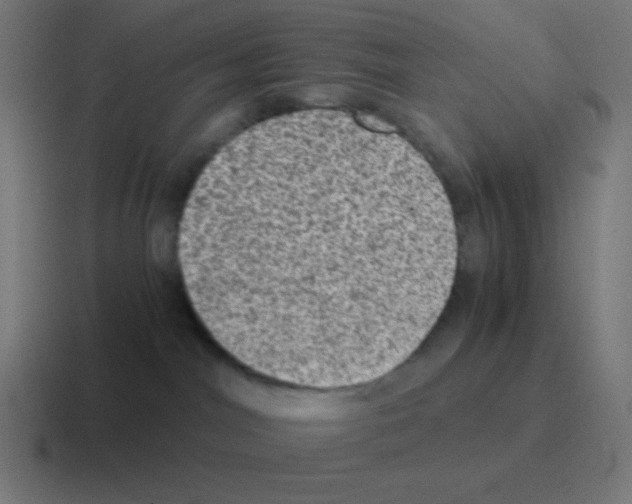 X0000116000044200912312122