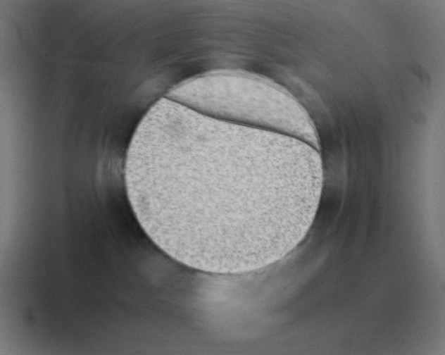 X0000116000045200912312122