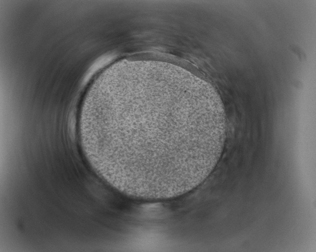 X0000116000054200912312122