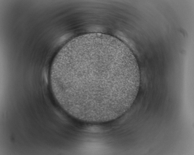 X0000116000062200912312122