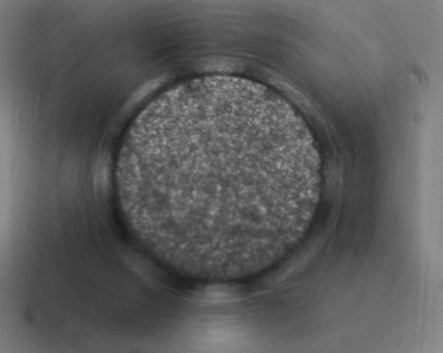 X0000116000064200912312122
