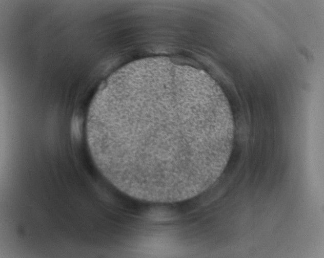 X0000116000070200912312122