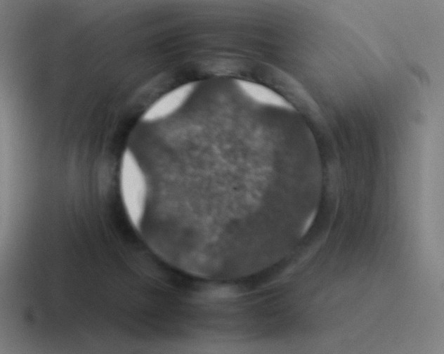 X0000116000073200912312122