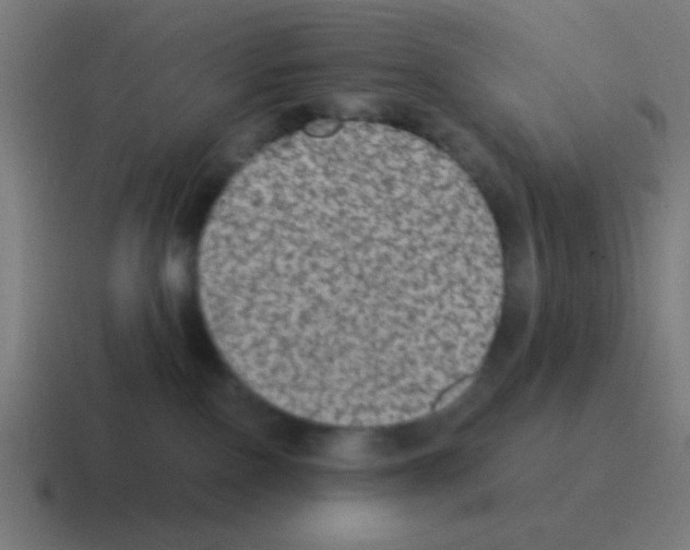X0000116000090200912312122