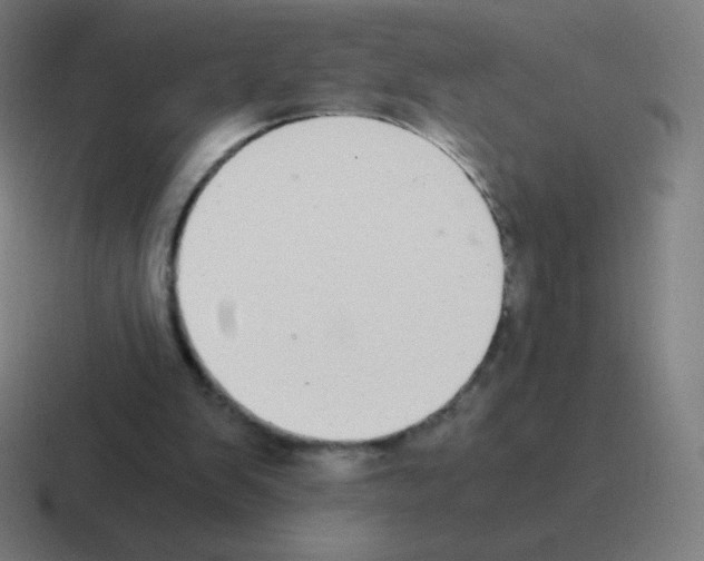 X0000116000103200912312122
