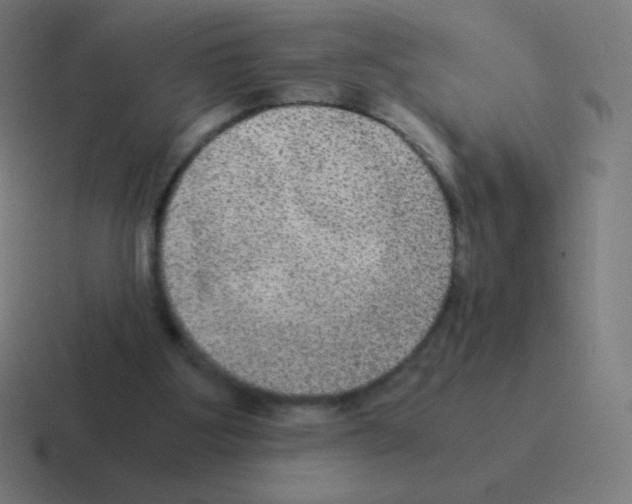 X0000116000107200912312122