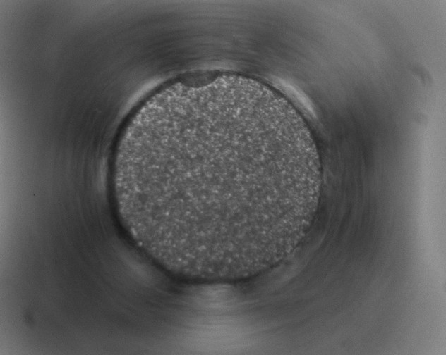X0000116000108200912312122