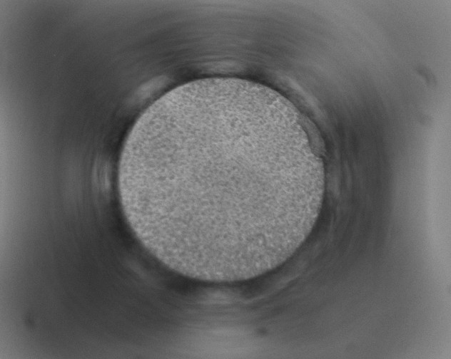 X0000116000115200912312122