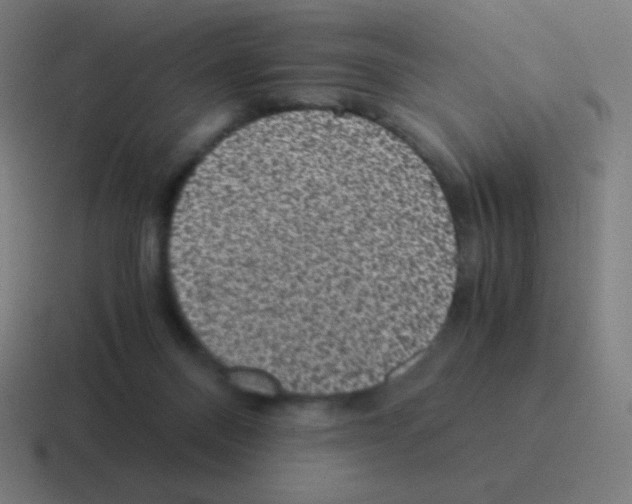 X0000116000120200912312121