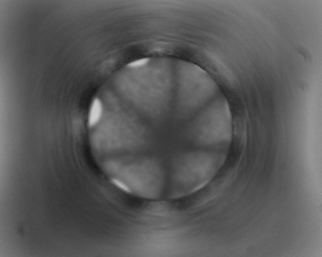 X0000116000127200912312121