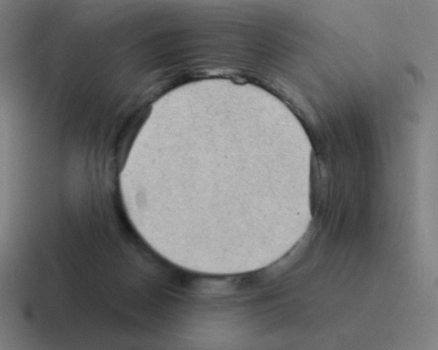 X0000116000170200912312121