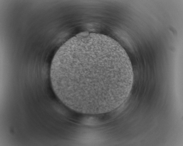 X0000116000174200912312121