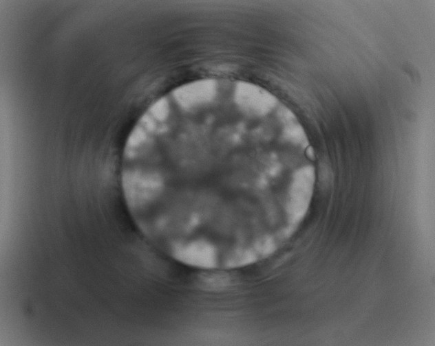 X0000116000181200912312121