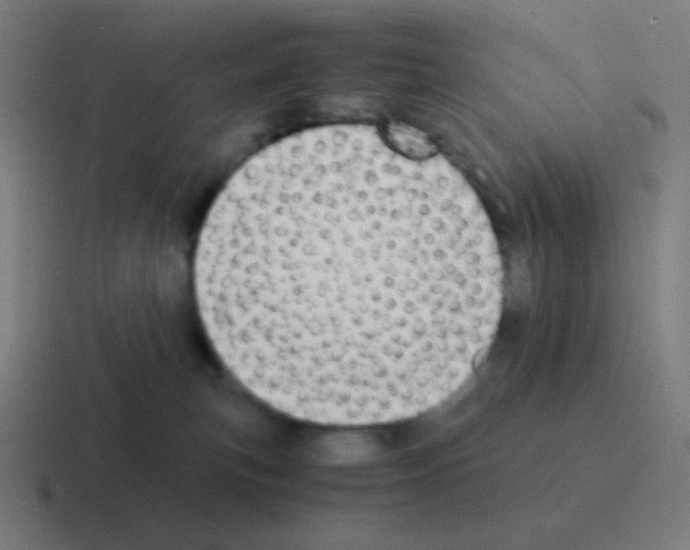 X0000116000183200912312121