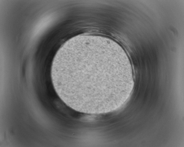 X0000116000190200912312121
