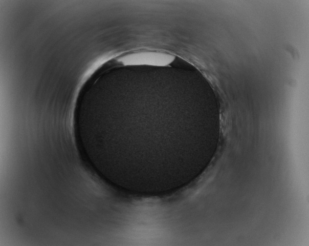 X0000116000196200912312121