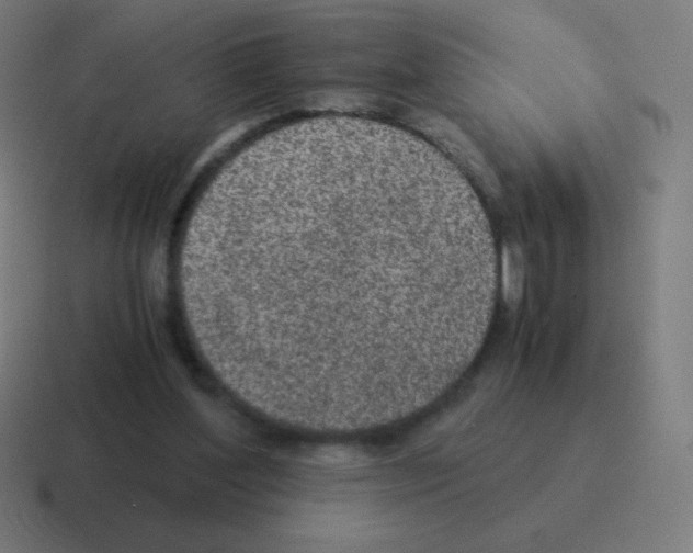 X0000116000204200912312120