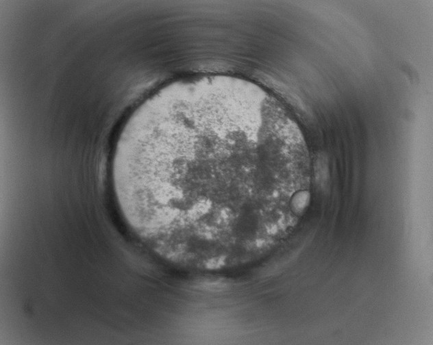 X0000116000206200912312120