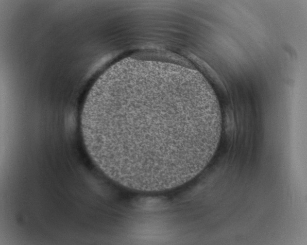 X0000116000208200912312120