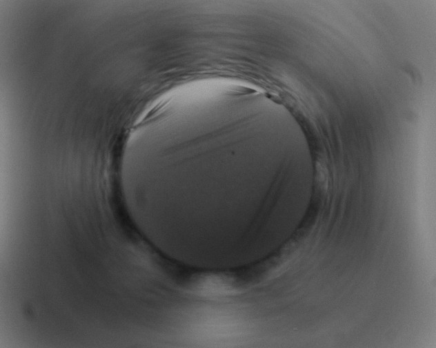 X0000116000223200912312120