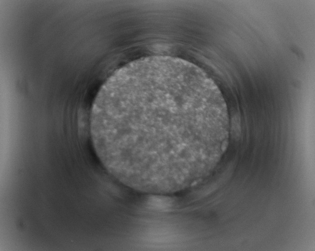 X0000116000234200912312120