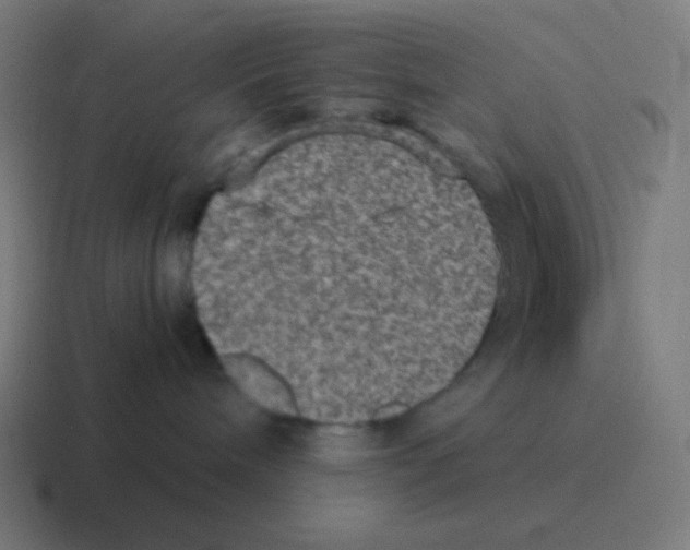 X0000116000240200912312120