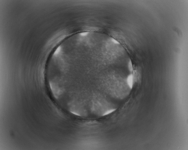 X0000116000243200912312119