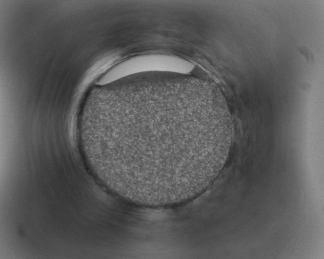 X0000116000245200912312119