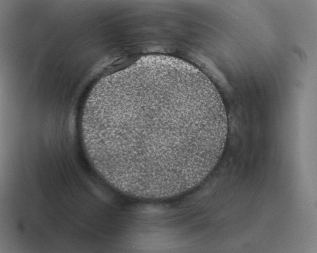 X0000116000250200912312119