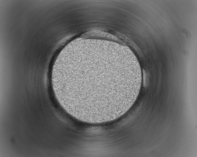 X0000116000252200912312120