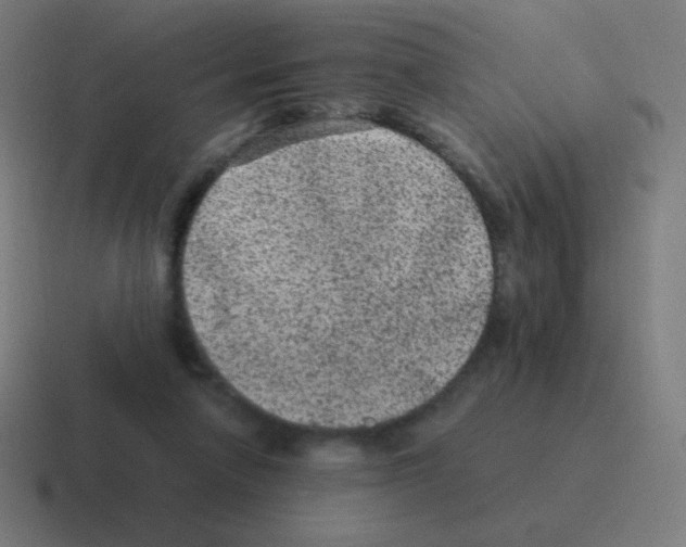 X0000116000258200912312120