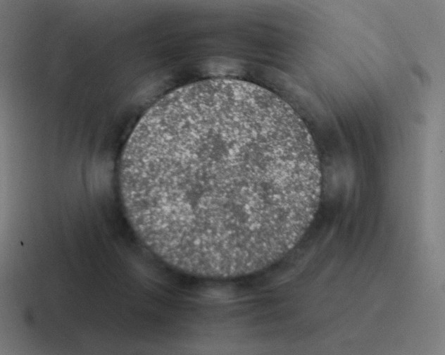 X0000116000263200912312120