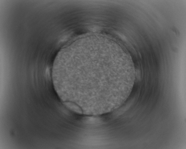 X0000116000286200912312120