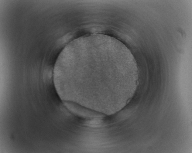 X0000116000288200912312120