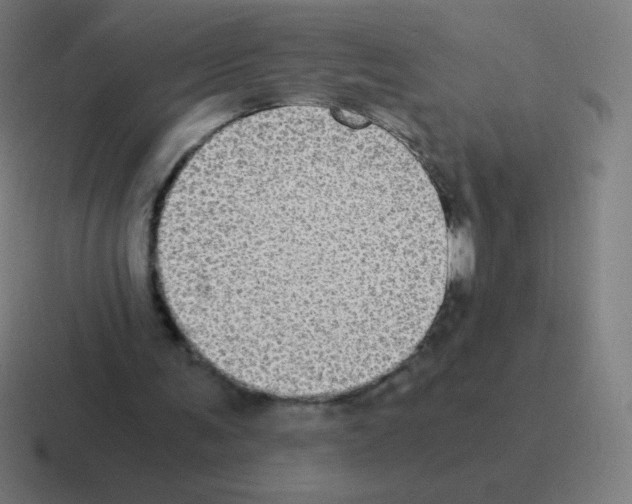 X0000116000291200912312119