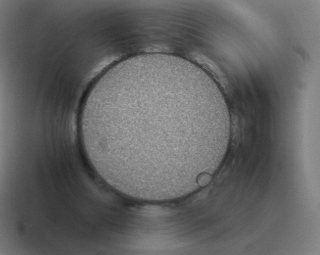 X0000116000298200912312119