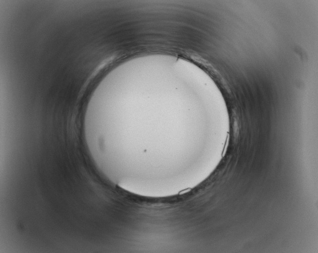 X0000116000304200912312119