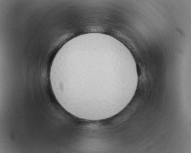 X0000116000306200912312119