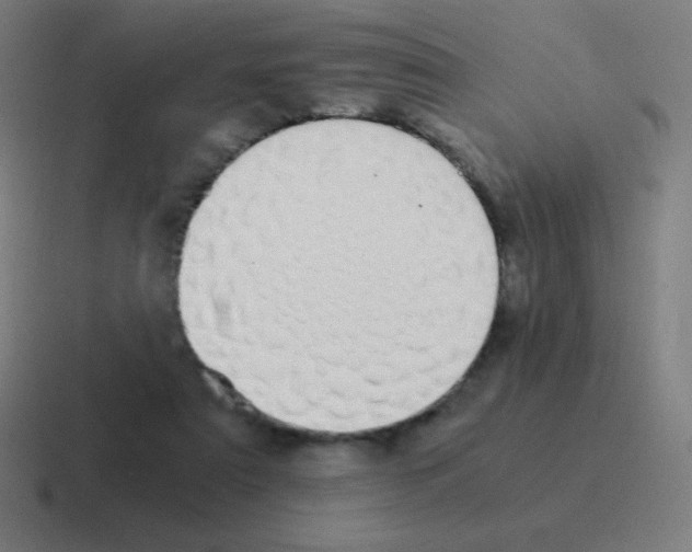 X0000116000307200912312119