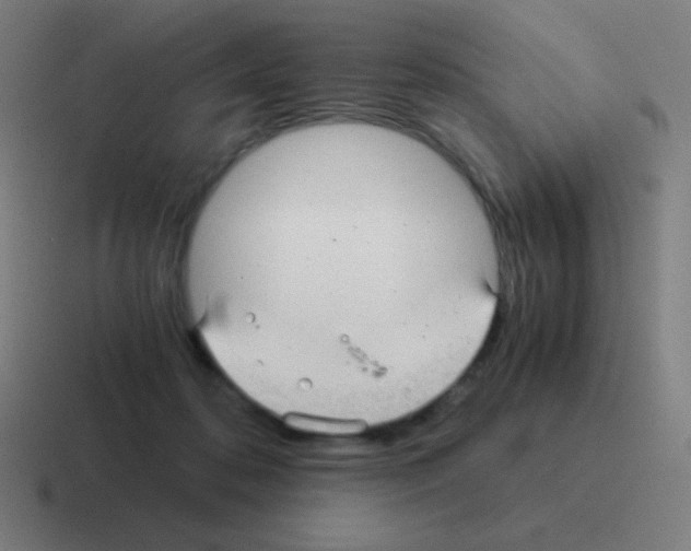X0000116000316200912312119